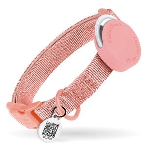 CollarDirect AirTag Holder QR Tag Dog Collar
